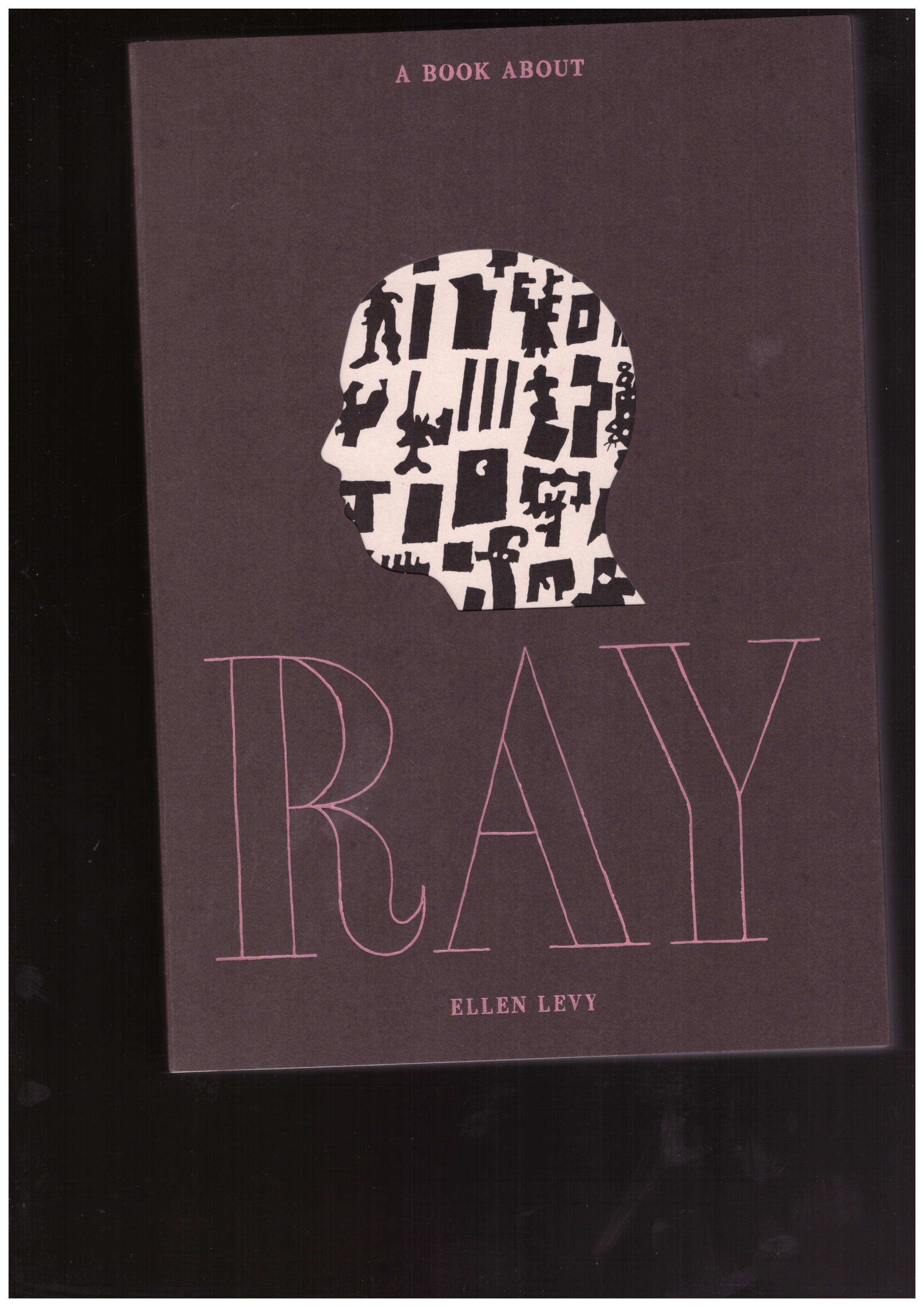 LEVY, Ellen - A book about Ray